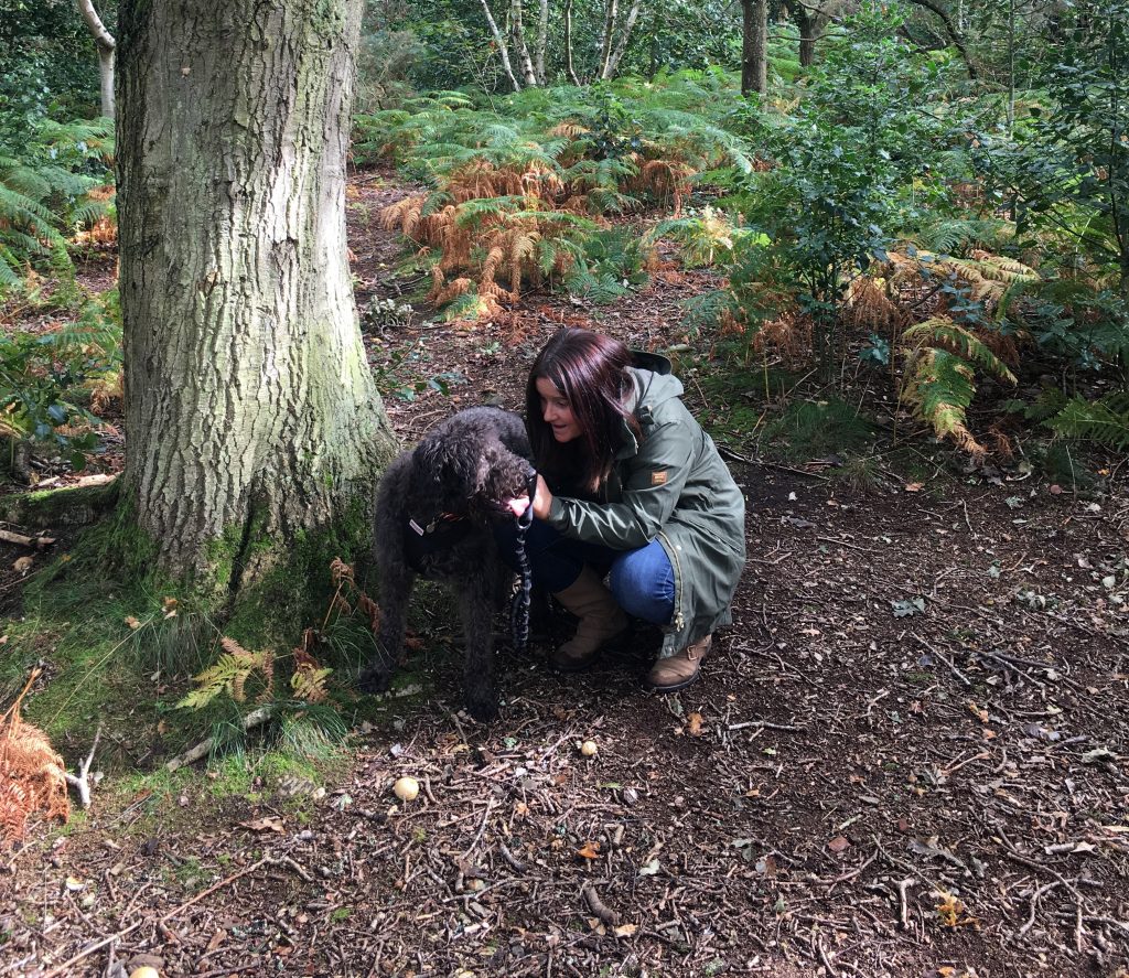 Dog Walker and Pet Services in West Kirby